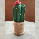 alfiletero cactus paso a paso diy