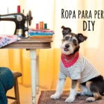 ropa para perros diy